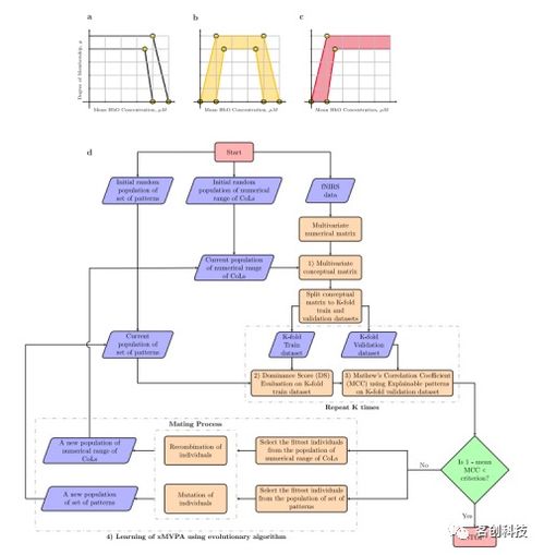 融合可解釋AI與fNIRS技術 發展認知神經科學在嬰幼兒研究中的新范式