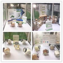 2017上海NEX展會現場直擊 植物提取物優質供應商產品展示秀，生態健康賦能全球