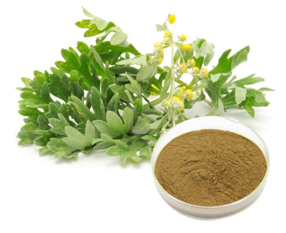 艾葉提取物在化妝品中的功效與應用 天然植物源護膚潛力解析