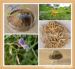植物提取物 天然遠志提取物（20:1比例提取）的安神益智與祛痰消腫功效
